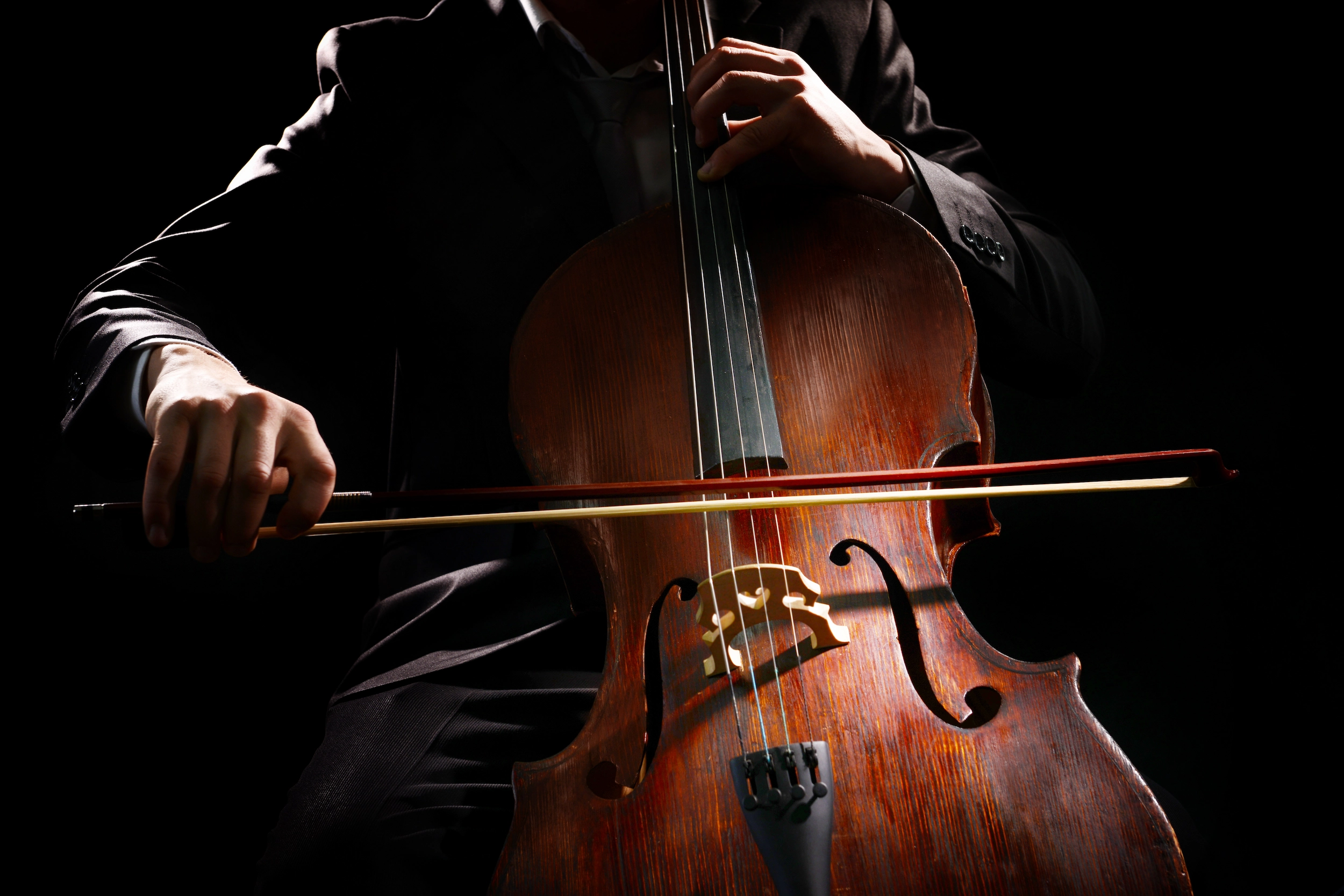 2025 Cello Section